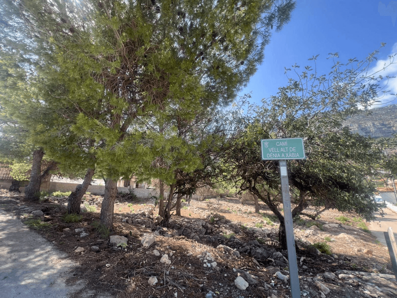 Terreno en venta en camino Vell Alt de Dénia a Xabia