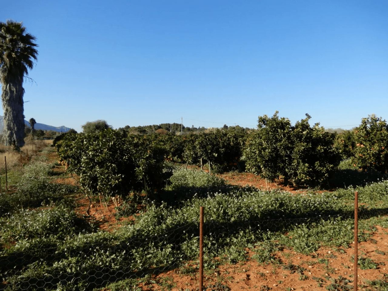 Parcela en Venta en Zona Golf Pedreguer