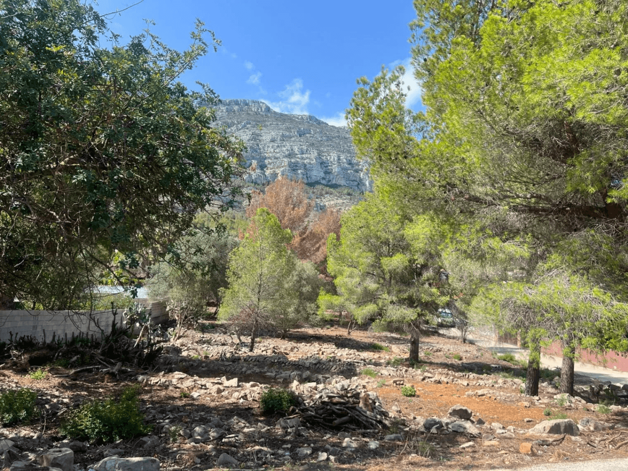 Terreno en venta en camino Vell Alt de Dénia a Xabia