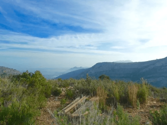 Parcela en venta Benidoleig de 18.000 m2