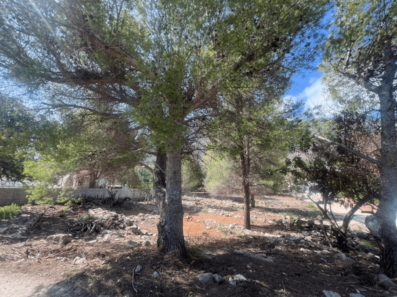 Terreno en venta en camino Vell Alt de Dénia a Xabia