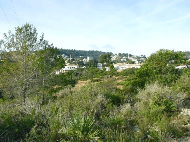 Parcela en venta Benidoleig de 18.000 m2