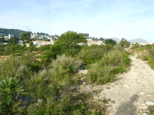 Parcela en venta Benidoleig de 18.000 m2