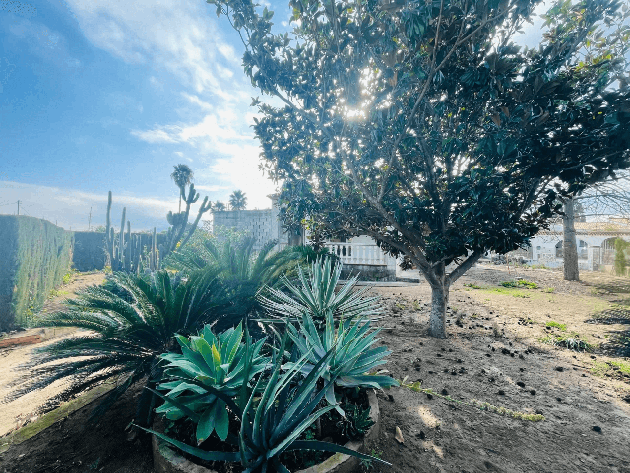 Ondara. Chalet en venta