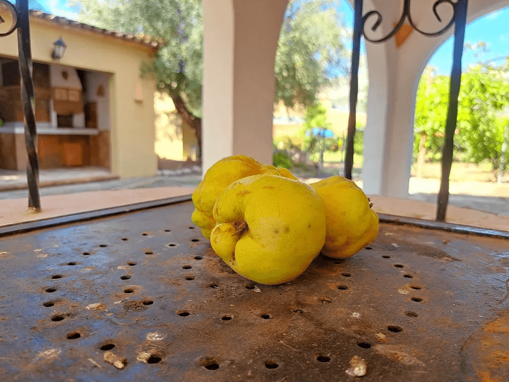 Villa familiar con piscina en venta en Orba