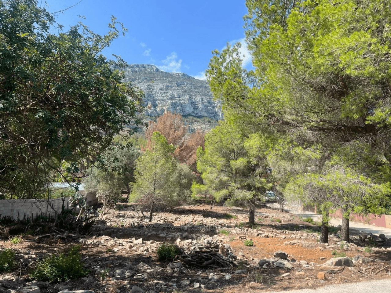 Terreno en venta en camino Vell Alt de Dénia a Xabia