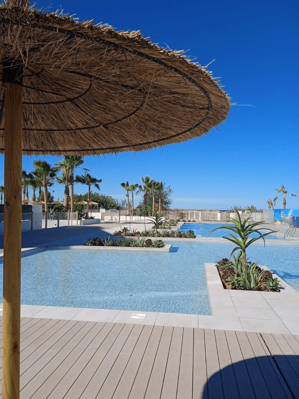 Nueva promoción de viviendas de lujo/apartamentos en primera linea de playa de Denia .
