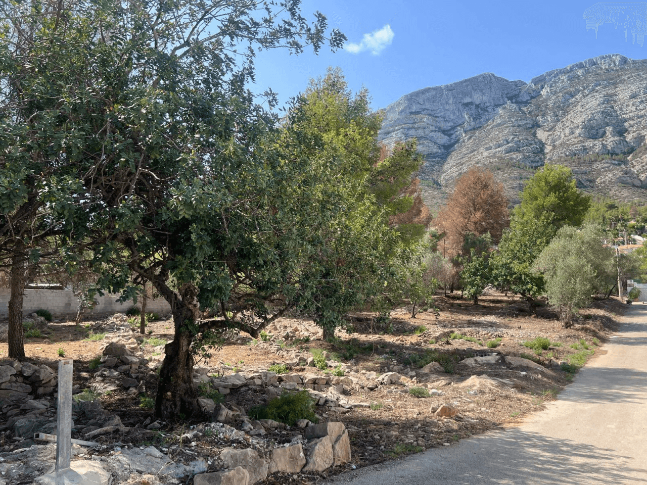 Terreno en venta en camino Vell Alt de Dénia a Xabia