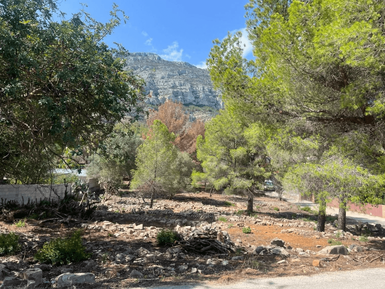 Terreno en venta en camino Vell Alt de Dénia a Xabia
