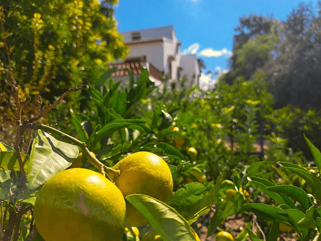 Villa familiar con piscina en venta en Orba