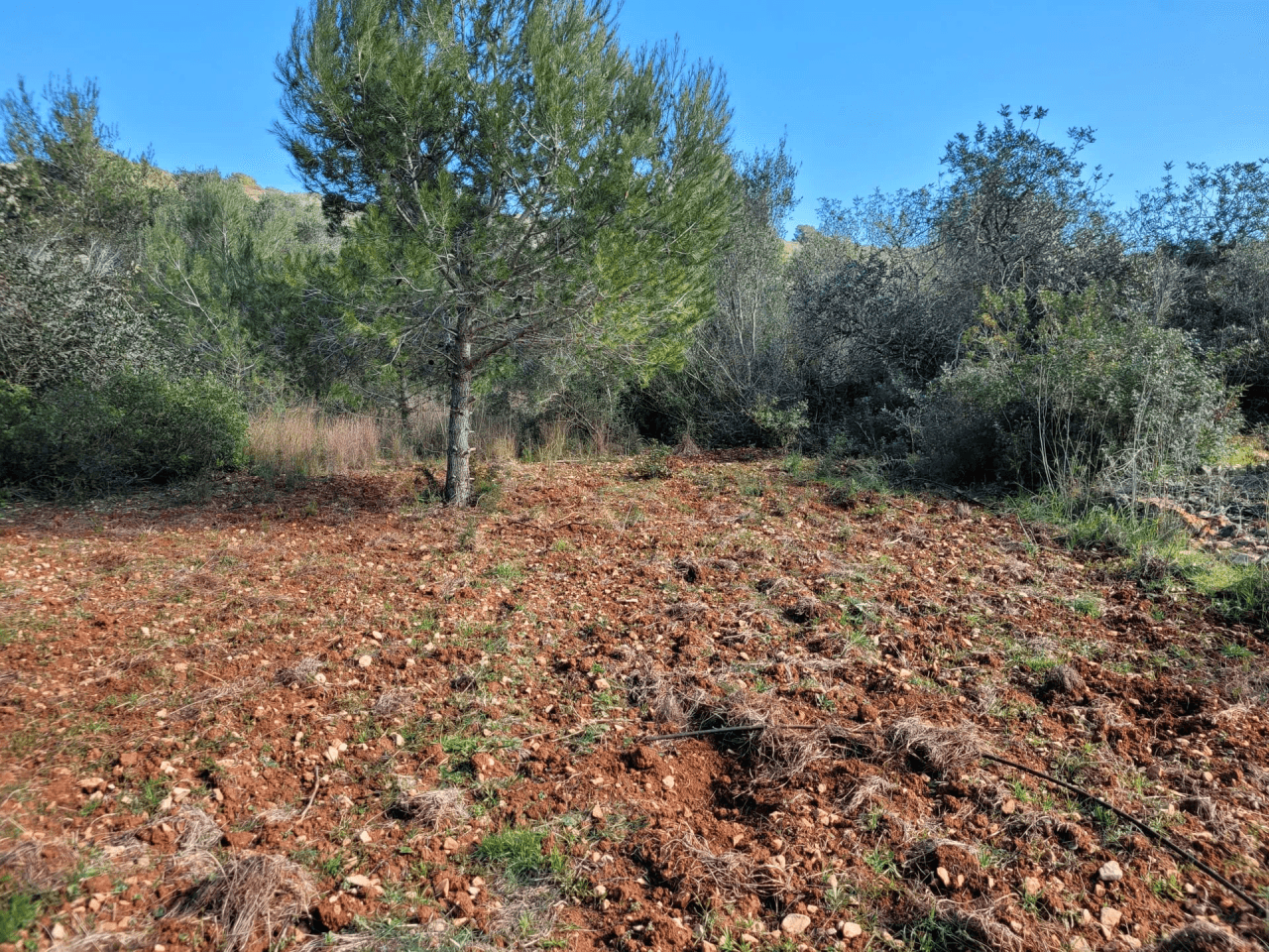 Se vende Parcela soleada en Denia