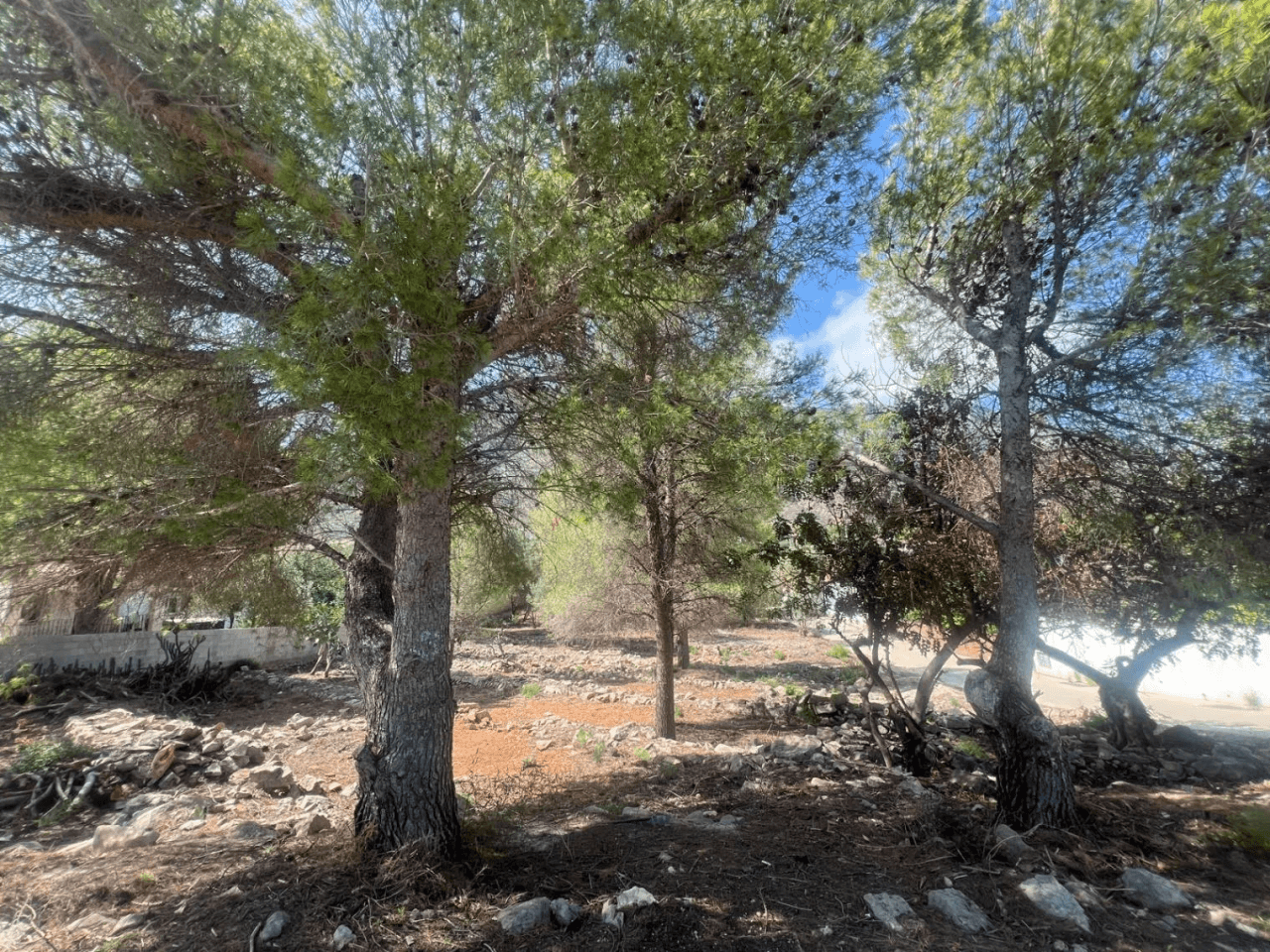 Terreno en venta en camino Vell Alt de Dénia a Xabia