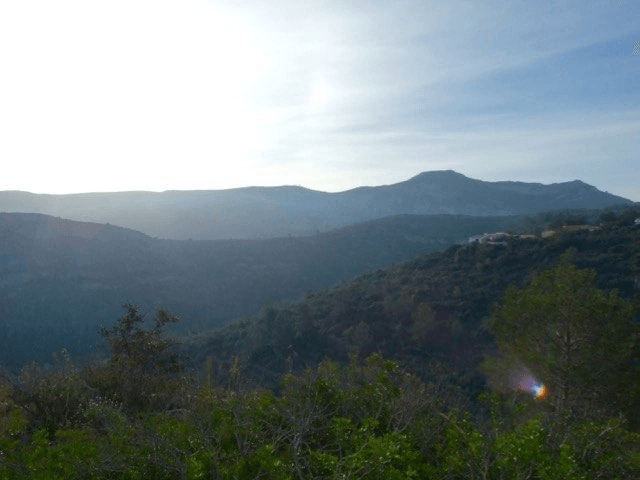 Parcela en venta Benidoleig de 18.000 m2