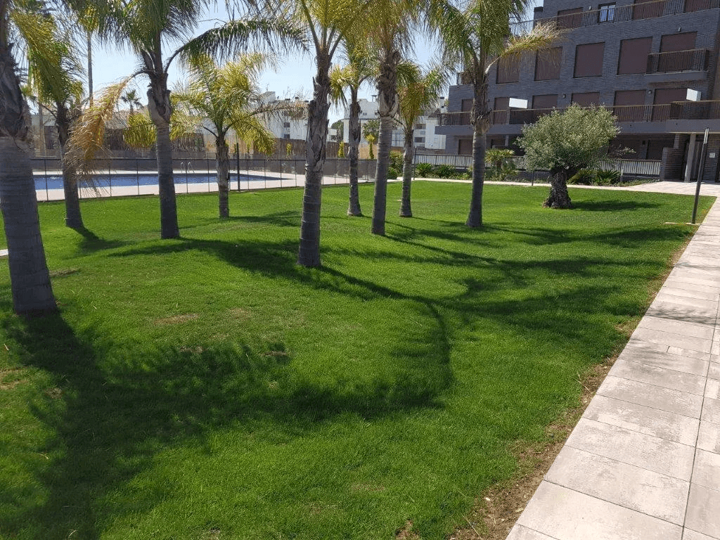 Penthouse  de lujo 3 habitaciones  a pocos metros de la playa de Denia
