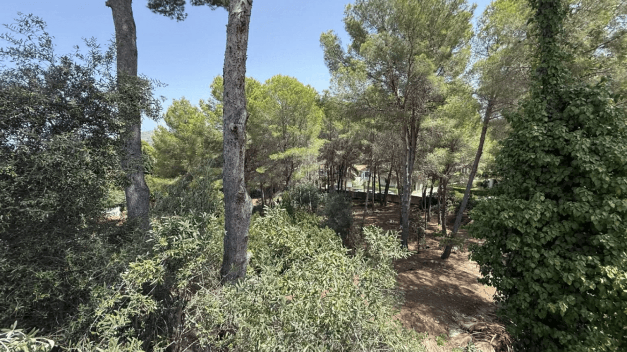 Magnífica Finca en Venta en La Sella, Pedreguer