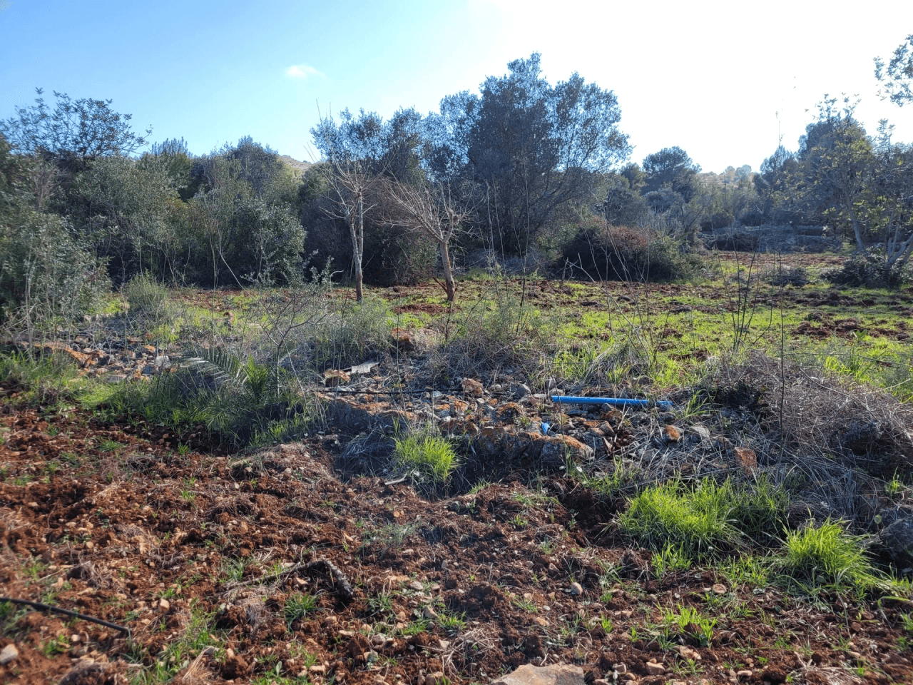 Se vende Parcela soleada en Denia