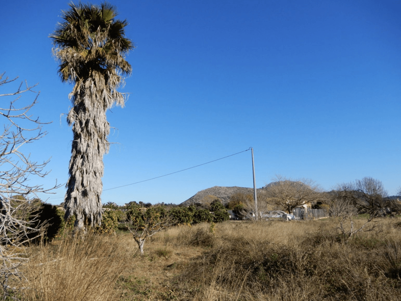Parcela en Venta en Zona Golf Pedreguer