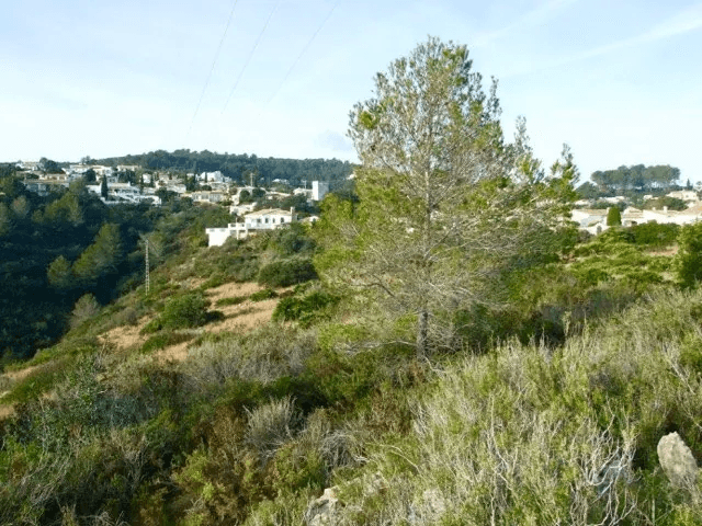 Parcela en venta Benidoleig de 18.000 m2