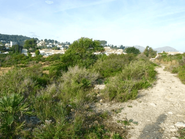 Parcela en venta Benidoleig de 18.000 m2