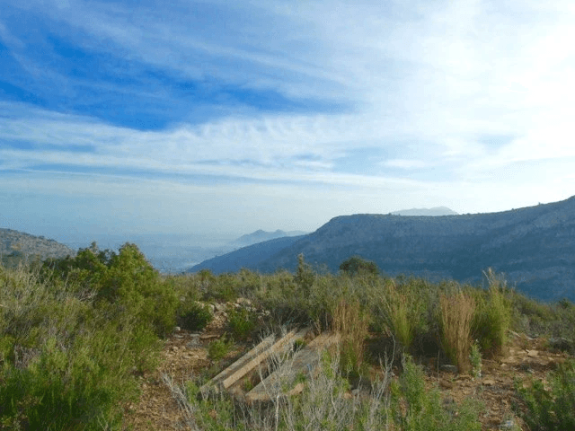 Parcela en venta Benidoleig de 18.000 m2