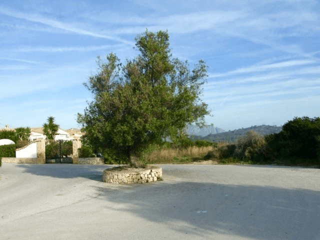 Parcela en venta Benidoleig de 18.000 m2