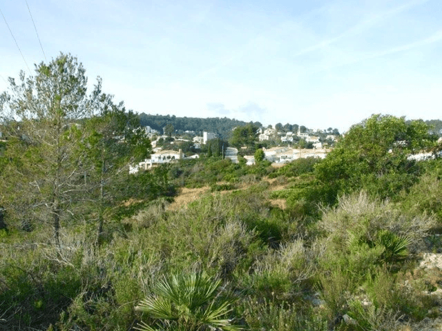 Parcela en venta Benidoleig de 18.000 m2