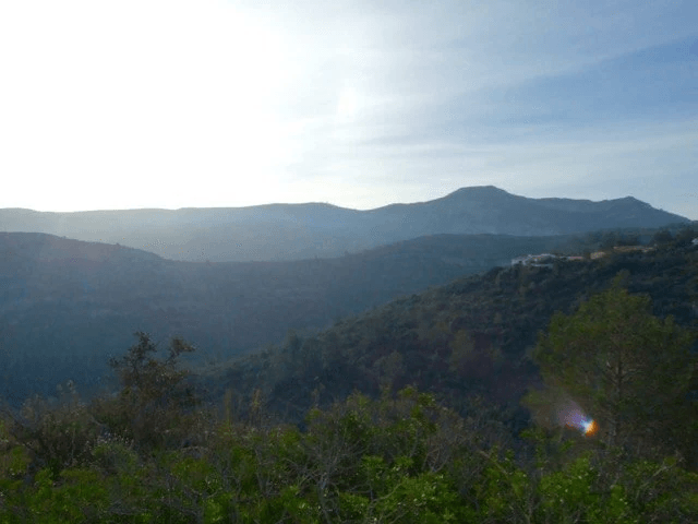 Parcela en venta Benidoleig de 18.000 m2