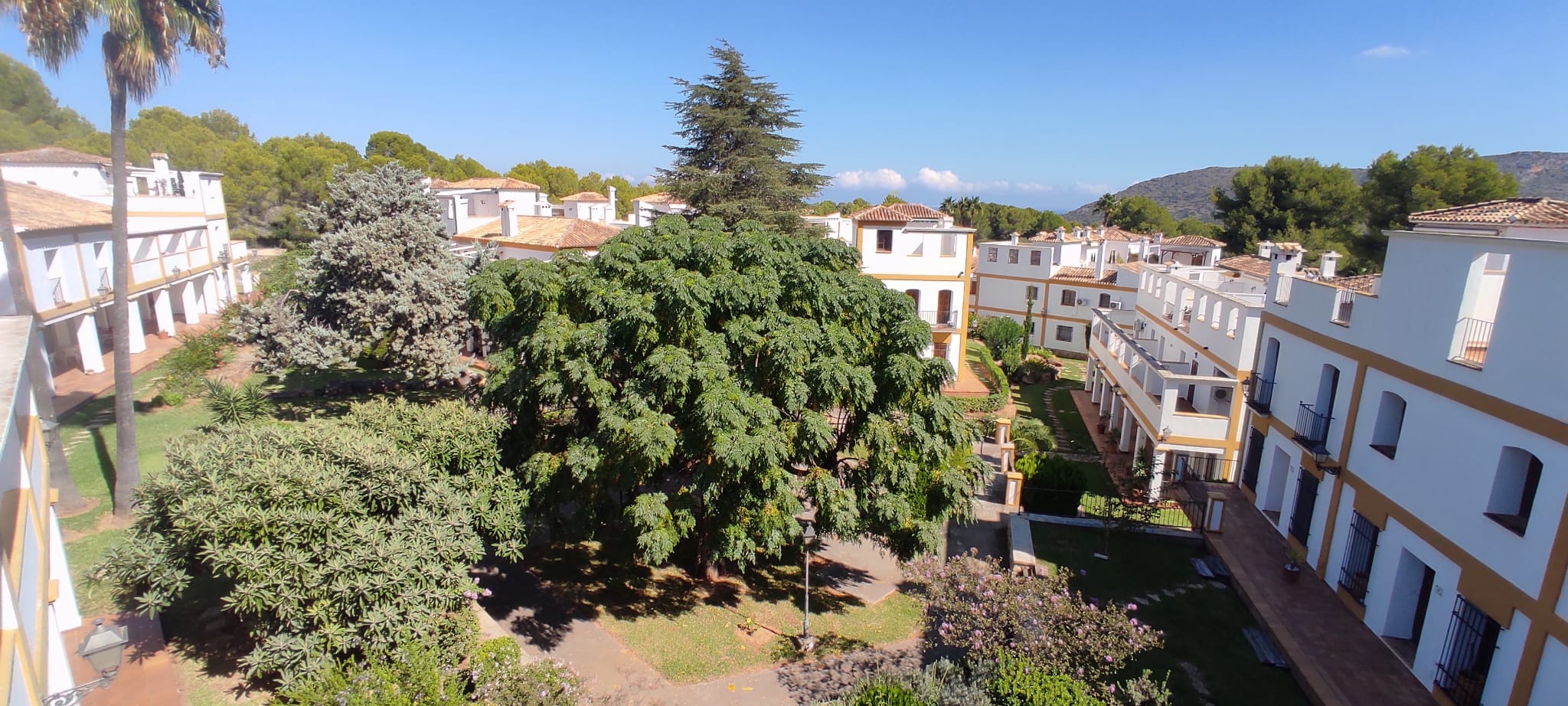 Apartment Denia (8)