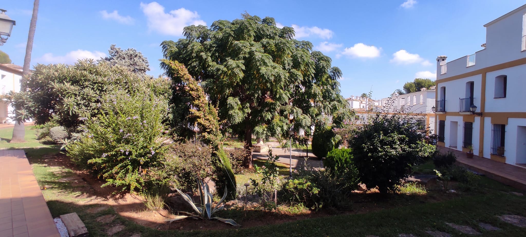 Apartment Denia (14)
